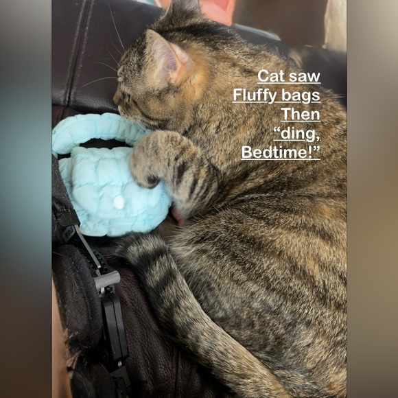 NEW Quilted Puffer Mini Shoulder Bag Charms. 2 LEFT. Light Cream, Coral Pink - Picture 8 of 9